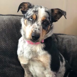 Meet your Posher, Selena